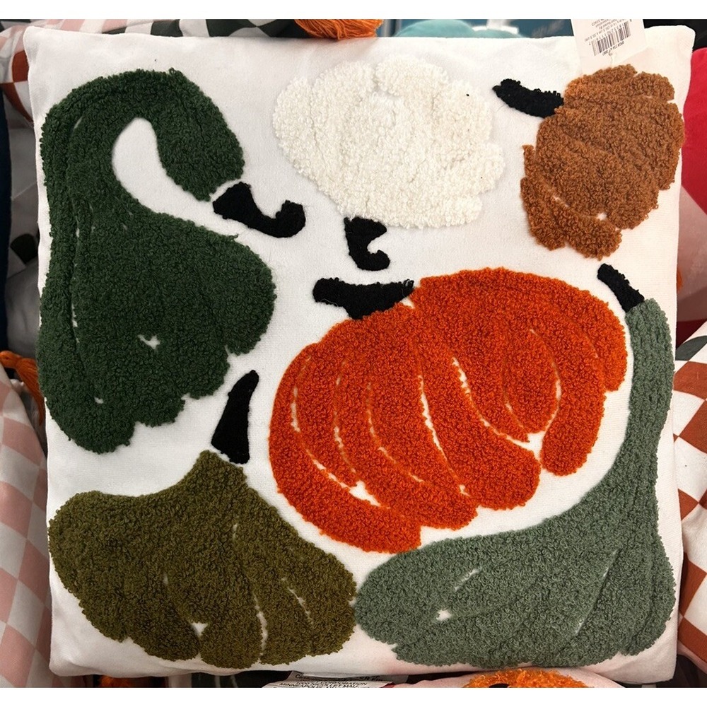 Embroidered‎ Throw Pillow Gourd Pumpkin Thanksgiving Decorative 14''x14'' Target